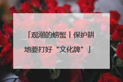 观潮的螃蟹丨保护耕地要打好“文化牌”